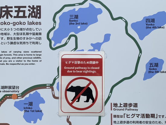 悲しいお知らせ…