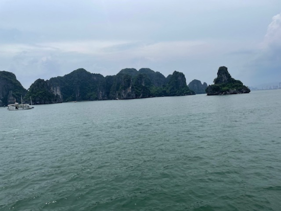 ほんの一部です