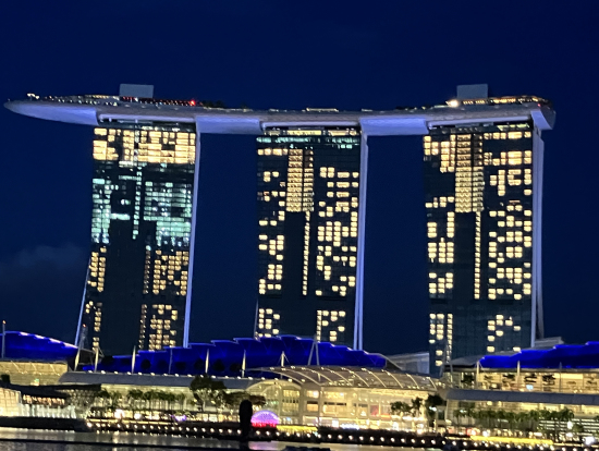 これぞ、シンガポールの夜景