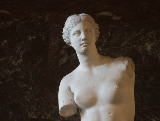 久しぶりに再会できたビーナスさん