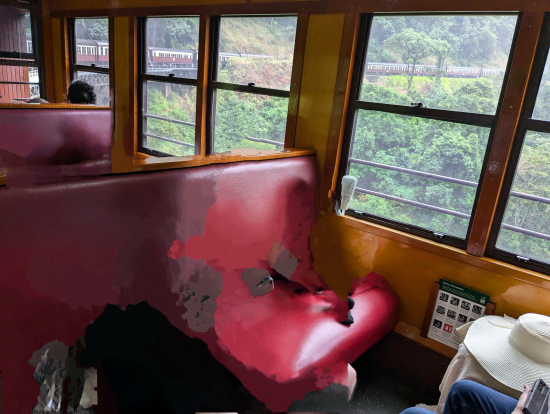 見どころはゆっくり運転してくれました（人物は消しゴムマジックしています）