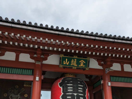 半分だけでした。