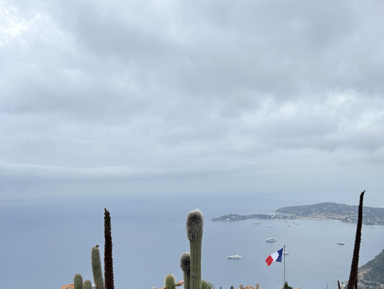 熱帯植物園からの眺め
