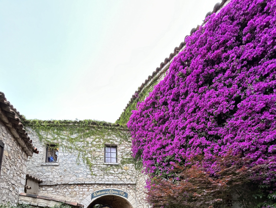 エズ村の素敵なショット