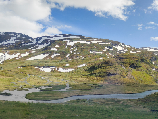 ベルゲン鉄道より