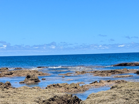 リーフから外海へ