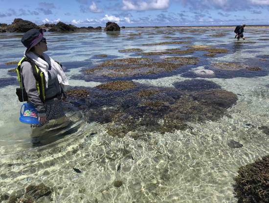 リーフの中もゆっくりと見れました