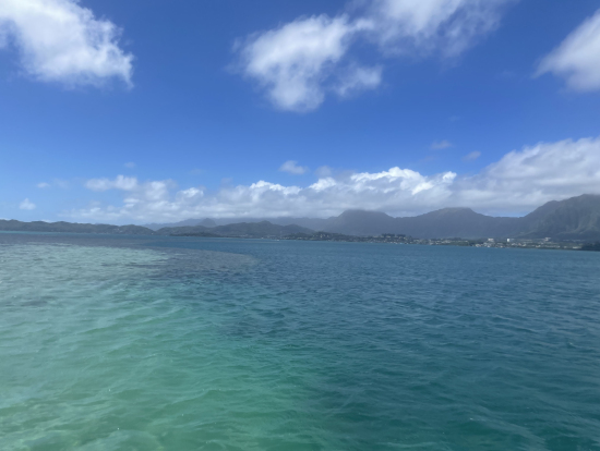 船から見た景色