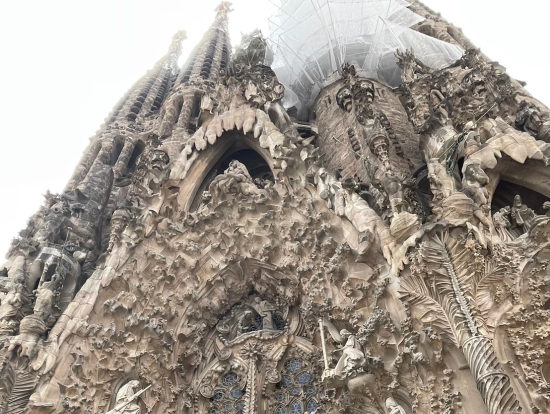 真下から見たサグラダ・ファミリア