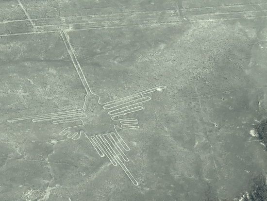 ハチドリの地上絵