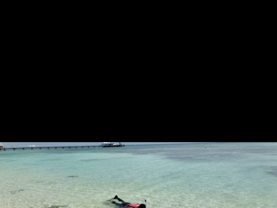 水は透明で綺麗です