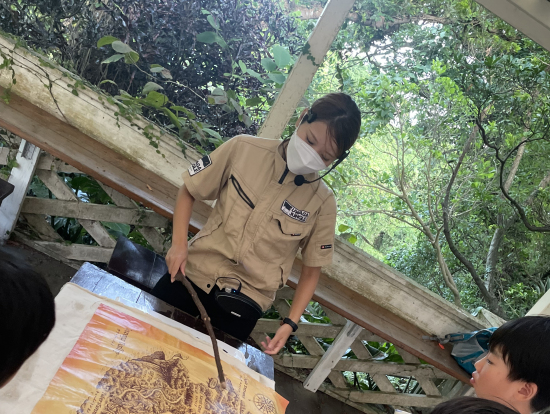 まずはジャングルの説明から。。。