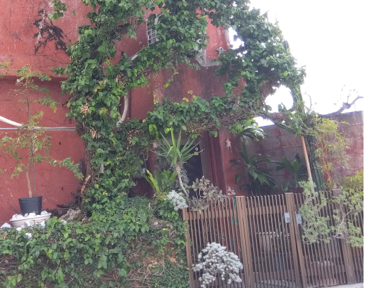 Drコトーマリさんのお店。