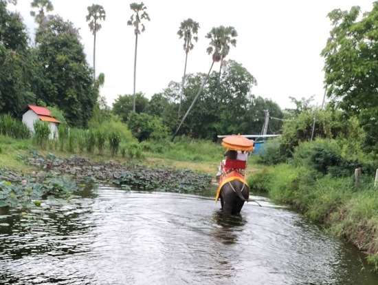 象乗り体験。時間を延長して楽しみました。