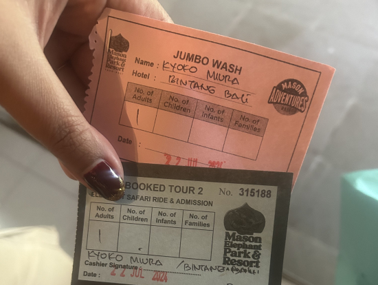 チケット3種類！乗る⭐︎池の中❄︎洗う