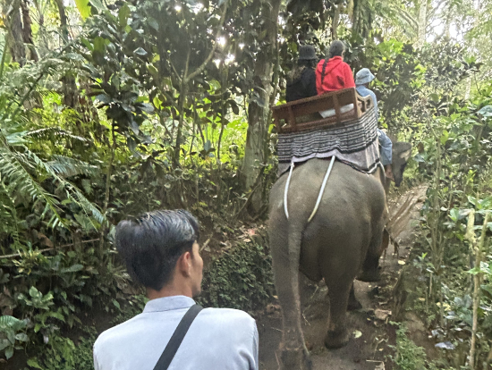 ゆらゆら揺られて