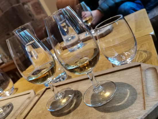 3 試飲タイム