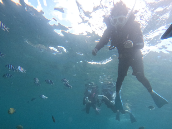 熱帯魚いっぱい見れました