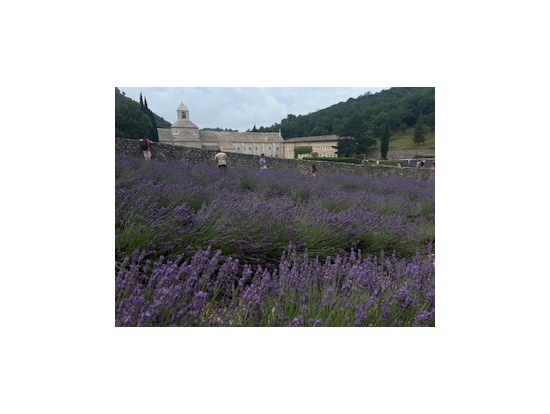 セナンク修道院