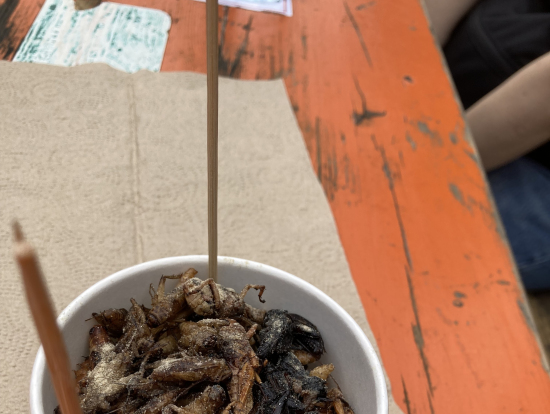 ジョッドフェアーズナイトマーケットで昆虫食に挑戦1