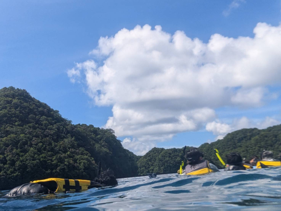 一緒に泳いだ海は家族の永遠の思い出に