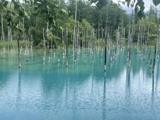 青い池は、フォトスポット