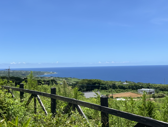 伊仙町の高台から