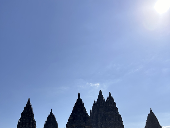 この時期は、観光に最適です!