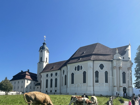 ヴィース教会。牛さんがいました。