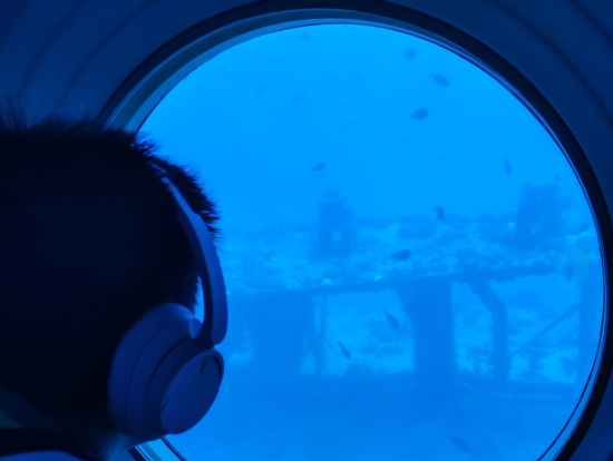 沈没船に魚が集まっていました