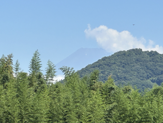 出発地点では富士山が見えました