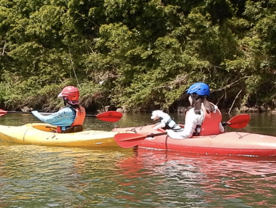 のんびり下っていたら後ろからおい！早く行けよワン