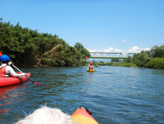 みんなに続けワン