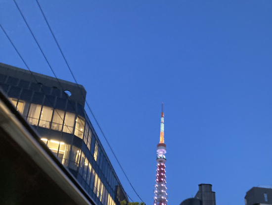 バスの天井から