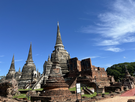 ワットプラシーサンペット