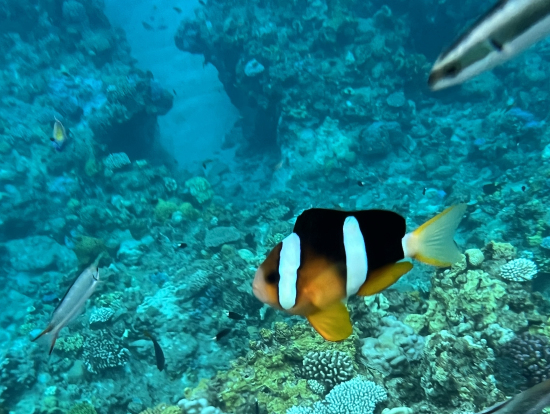 今回のベストショット