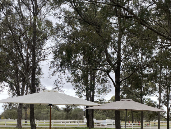 外でのテイスティングは景色や風もご馳走です