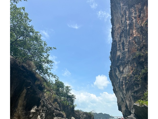 バンカー湾でシーカヤック