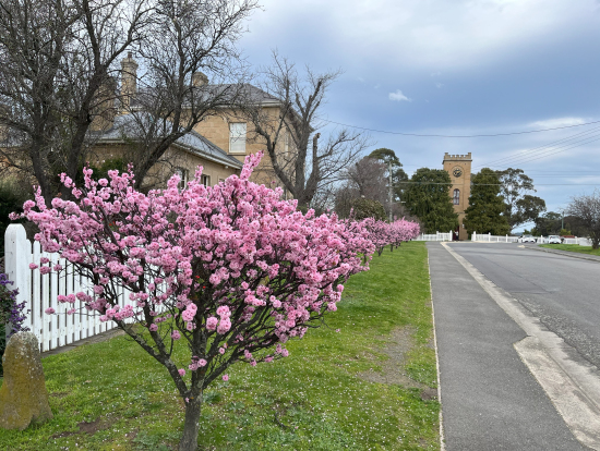 冬でも花が綺麗に咲いていました。