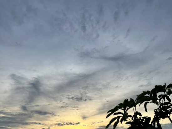 船から見る景色は最高でした