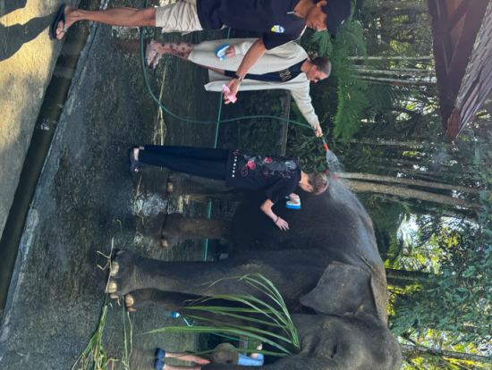 象洗い体験の様子(私たちと同じグループの方々)