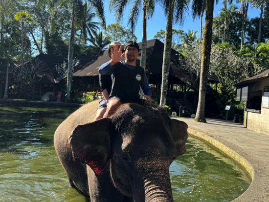 記念撮影をしてくれます(当然顔が写っているものもあるのでご安心を)