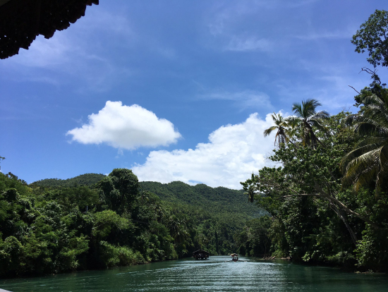 クルーズの船からの風景