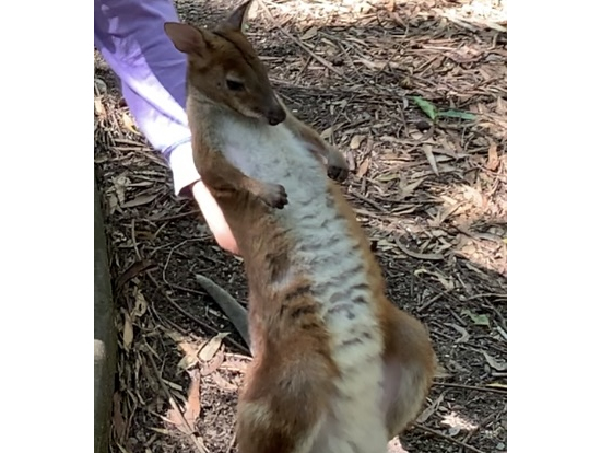 うーんそこそこ気持ちいい〜‼️