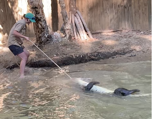 回る回るオレ達