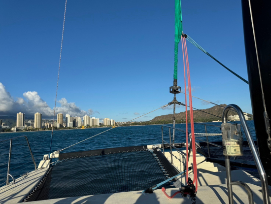 イルカやウミガメが見れました!