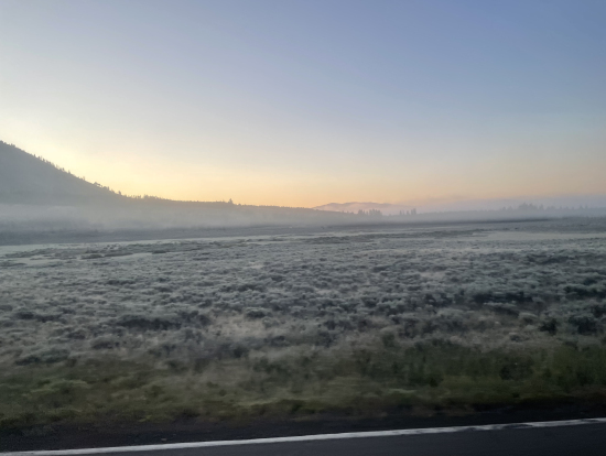 早朝 −2℃   霜が降りていました