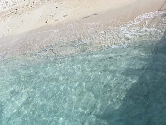 海の透明度、シュノーケルには大満足
