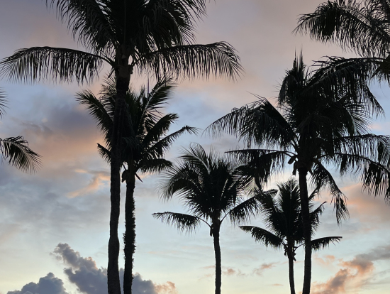 サンセットも素敵でした