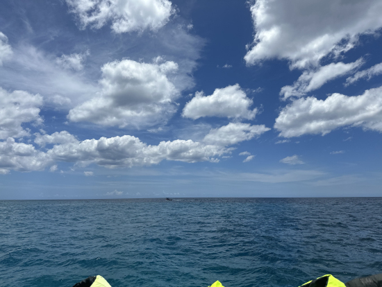 海の美しさ最高